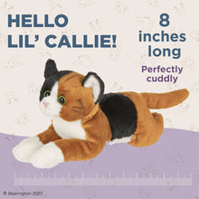 Load image into Gallery viewer, Lil&#39; Callie the Calico Cat
