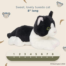 Load image into Gallery viewer, Lil&#39; Domino the Black &amp; White Cat
