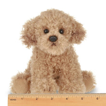 Load image into Gallery viewer, Lil&#39; Doodles  the Labradoodle
