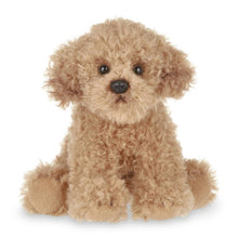 Load image into Gallery viewer, Lil&#39; Doodles  the Labradoodle
