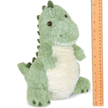 Load image into Gallery viewer, Rex  the T-Rex - Stuffed Animal
