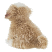Load image into Gallery viewer, Murphy the Maltipoo - Stuffed Animal
