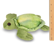 Load image into Gallery viewer, Lil&#39; Shelton the Sea Turtle
