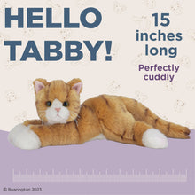 Load image into Gallery viewer, Tabby the Orange Cat
