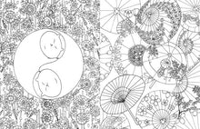 Load image into Gallery viewer, A Million Cats Coloring Book
