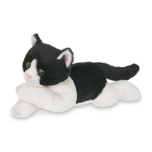 Load image into Gallery viewer, Lil&#39; Domino the Black &amp; White Cat
