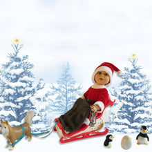 Load image into Gallery viewer, Winter Sleigh Set for 18&quot; Doll

