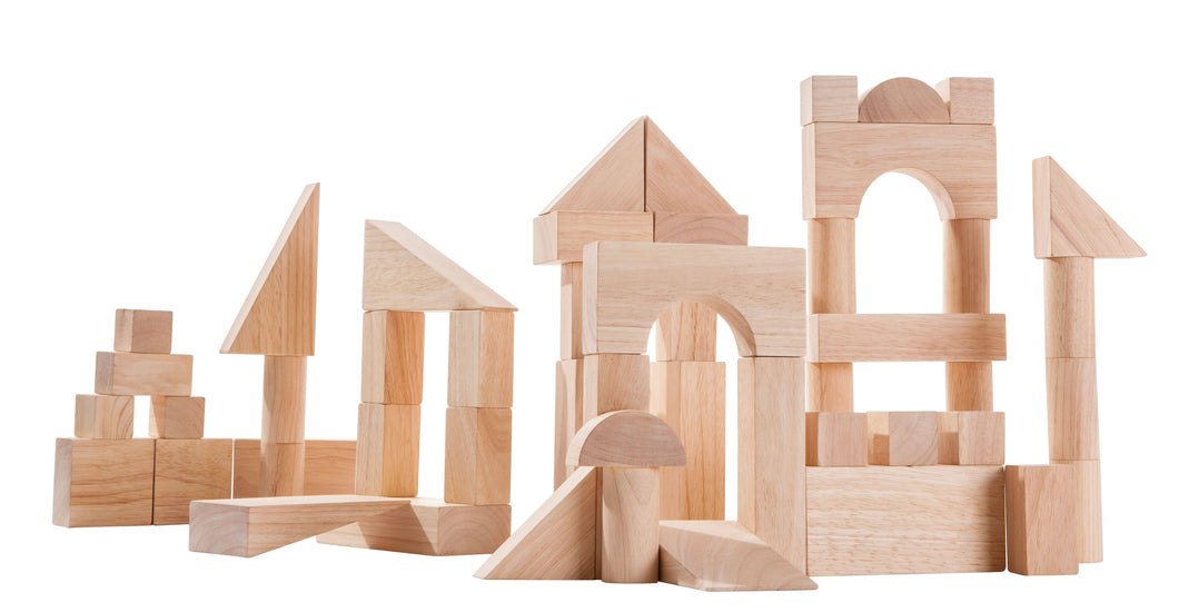 Natural Wooden Block - set of 50