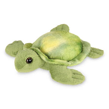 Load image into Gallery viewer, Lil&#39; Shelton the Sea Turtle
