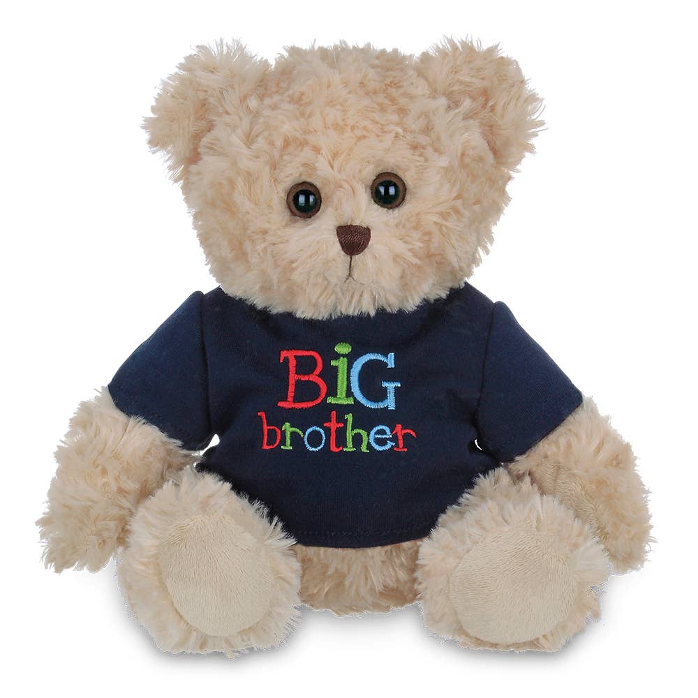 Big Buddy Big Brother Bear by