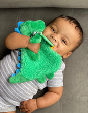 Load image into Gallery viewer, Itzy Friends Itzy Lovey™ Plush with Silicone Teether Toy - James the Dino
