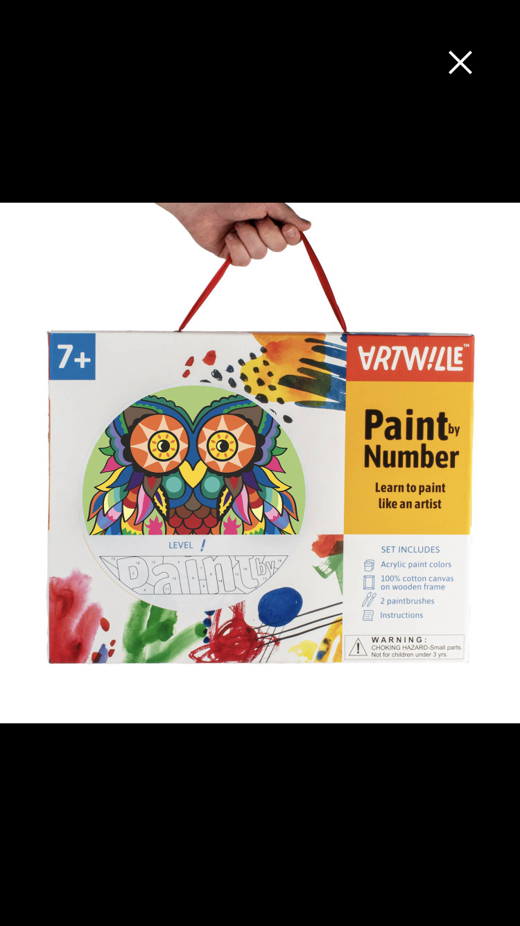 Wise Elk - Artwille DIY Paint by Numbers  - Owl